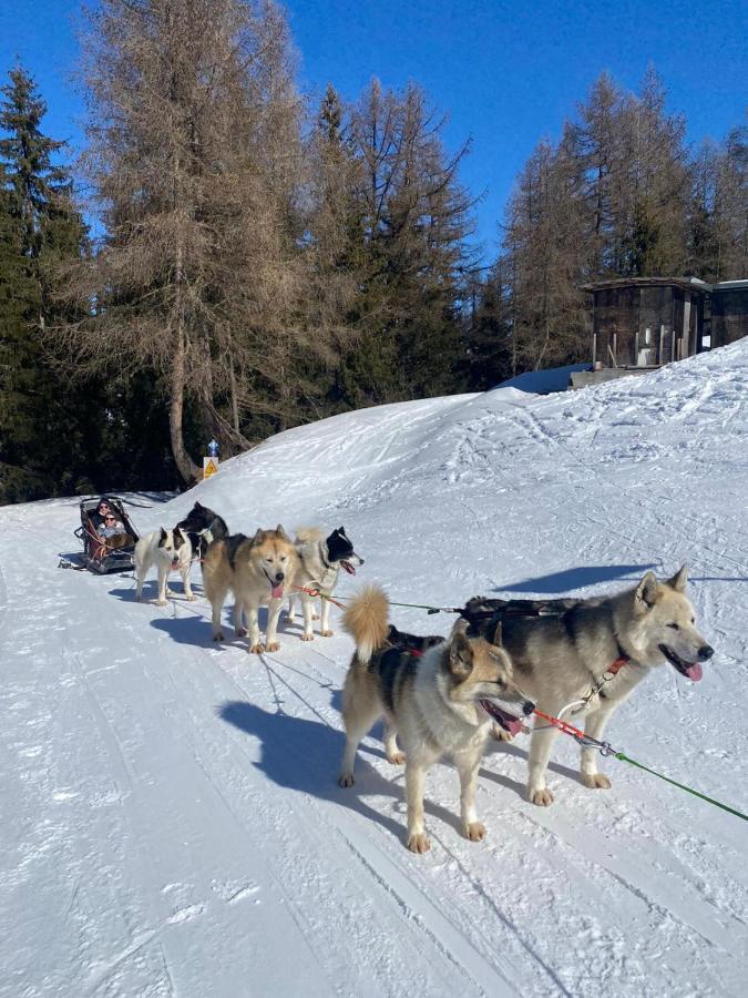 Appartamento Plagne Bellecote - 5 Pers - Vue Pistes - Acces Piscine Chauffee La Plagne Esterno foto